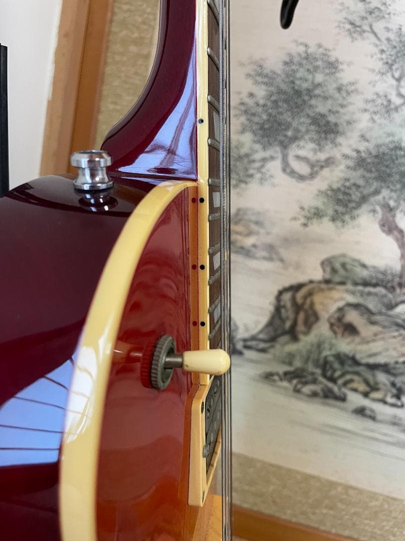 FUJIGEN タイムレスティンバー レスポール - メルカリ