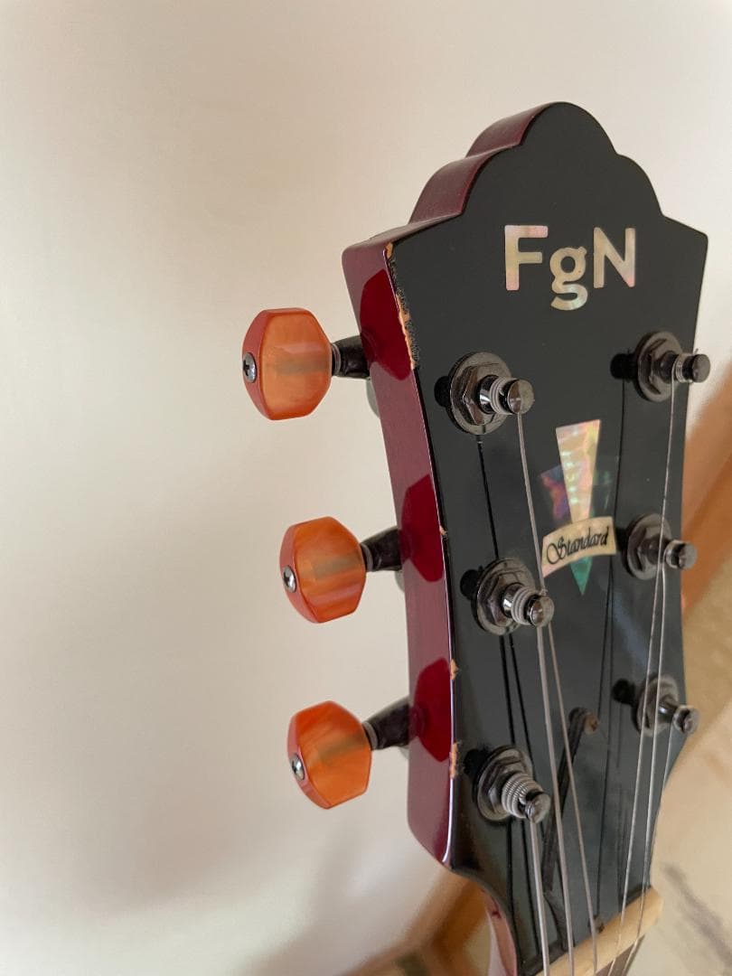 FUJIGEN タイムレスティンバー レスポール - メルカリ