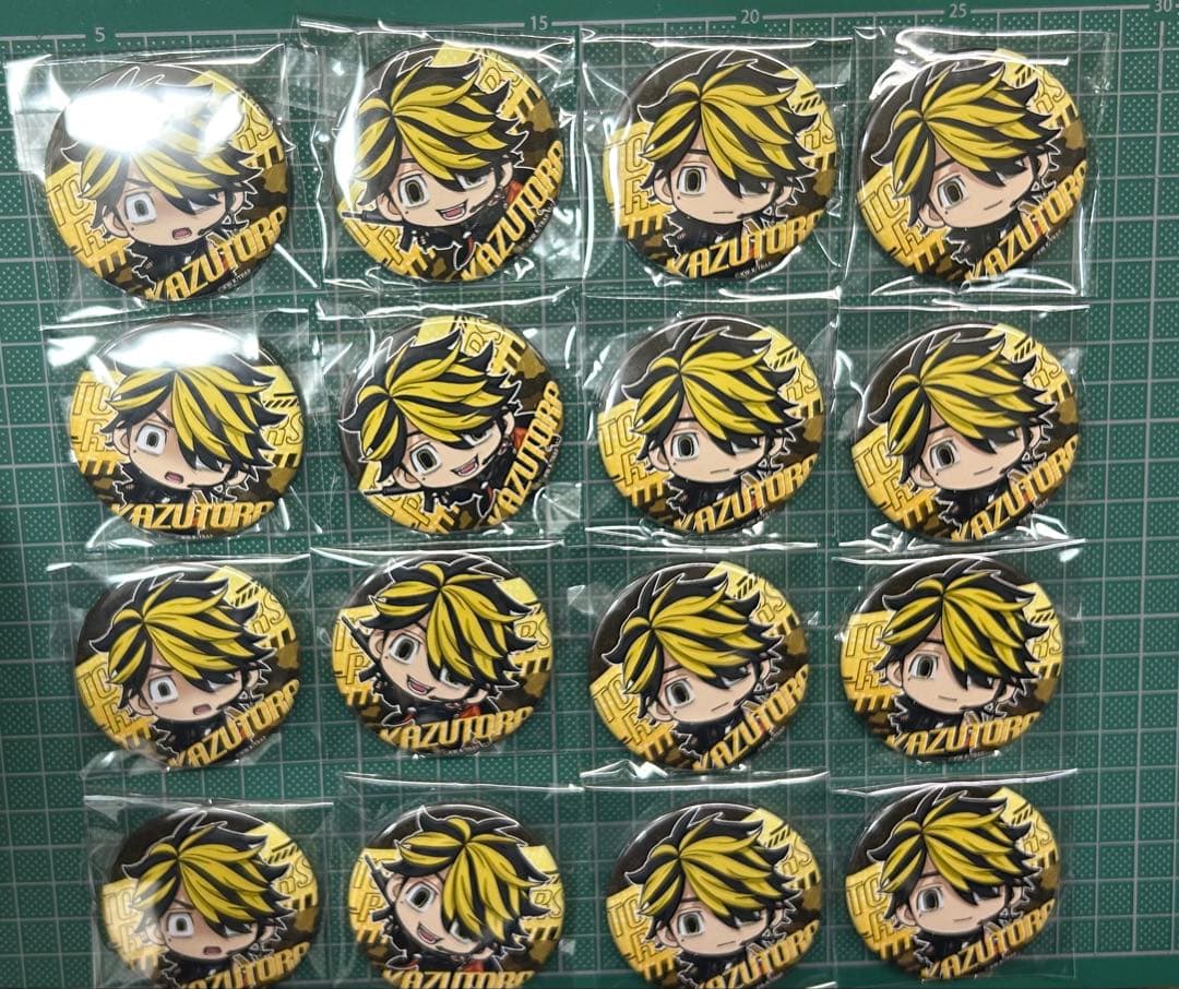 ぱずりべ 一虎　缶バッジ 16個セット