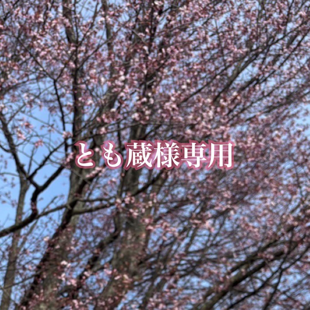 専用　US輸入　ハーレイロゴネックレス　ヴィンテージ　メキシカン