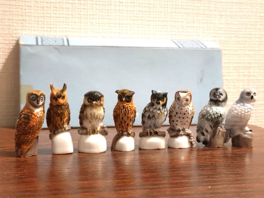 フェーブ　フクロウ　８こセット