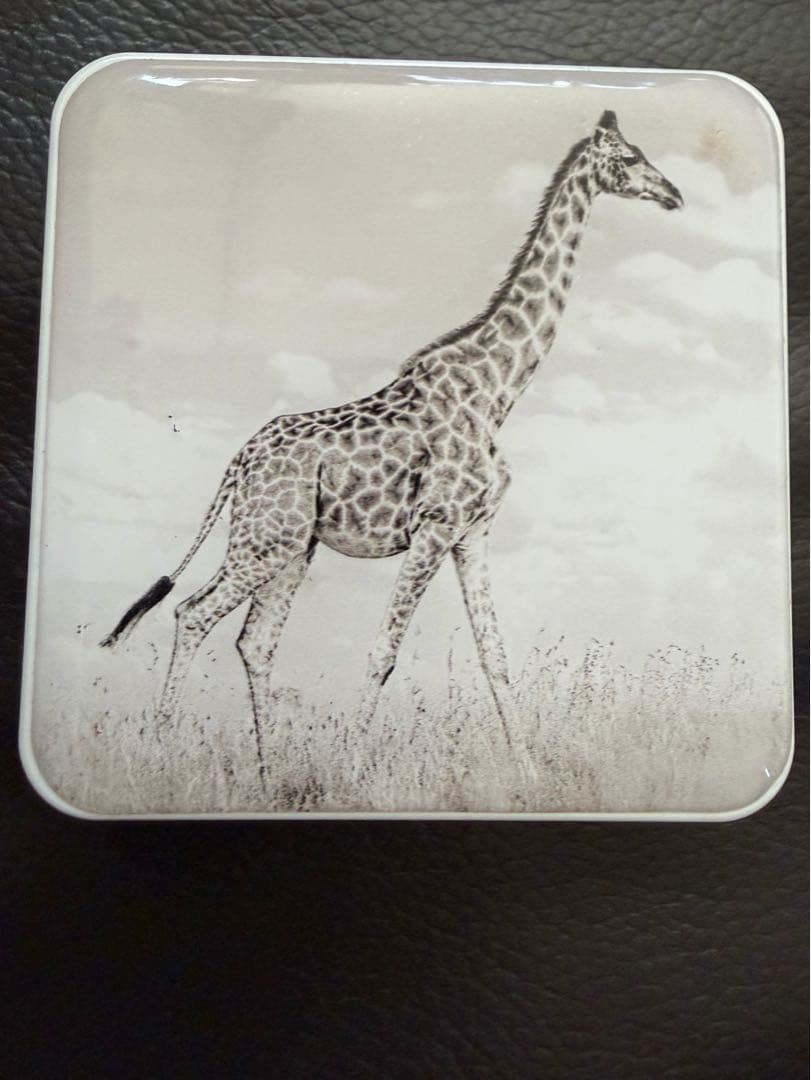 アイシャドウ Chantecaille Giraffe Eye Quartet