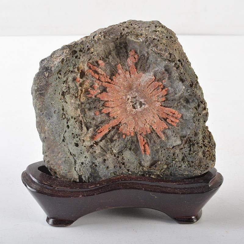 天然石　鑑賞石　菊花石　置物　重さ約392g　唐木台付　V　R6492