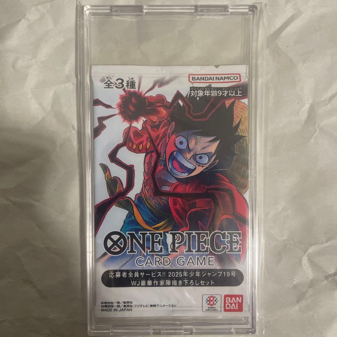 雷音 応募者全員サービス 2点セット 0時までタイムセール 国内発送 長袖 フェイクツーピース レッグカバー