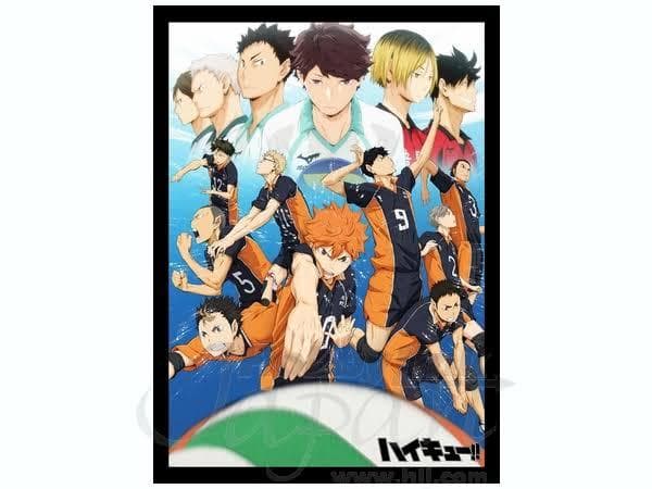 ハイキュー もふもふひざ掛け 100×75 撮影時のみ開封 新品に近い ハイキュー ひざ掛け毛布 フランネル[品番：BREW0025319