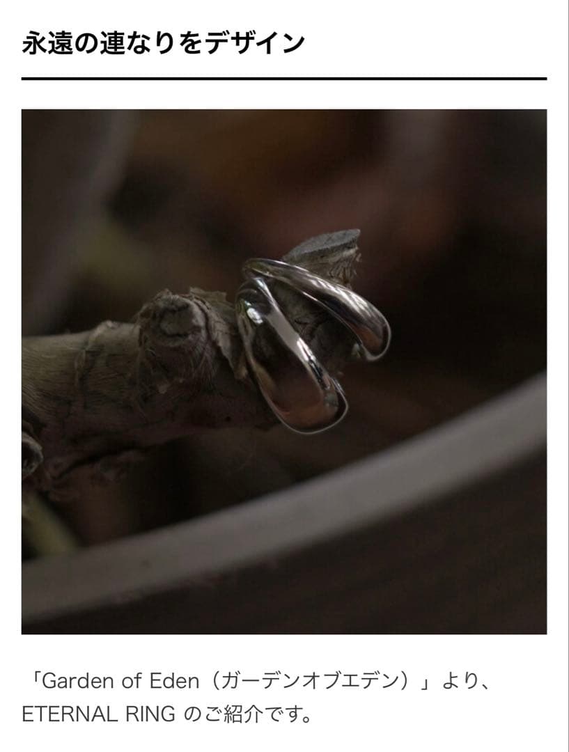 美品】Garden of Eden 2連 ETERNAL RING 13号 - メルカリ