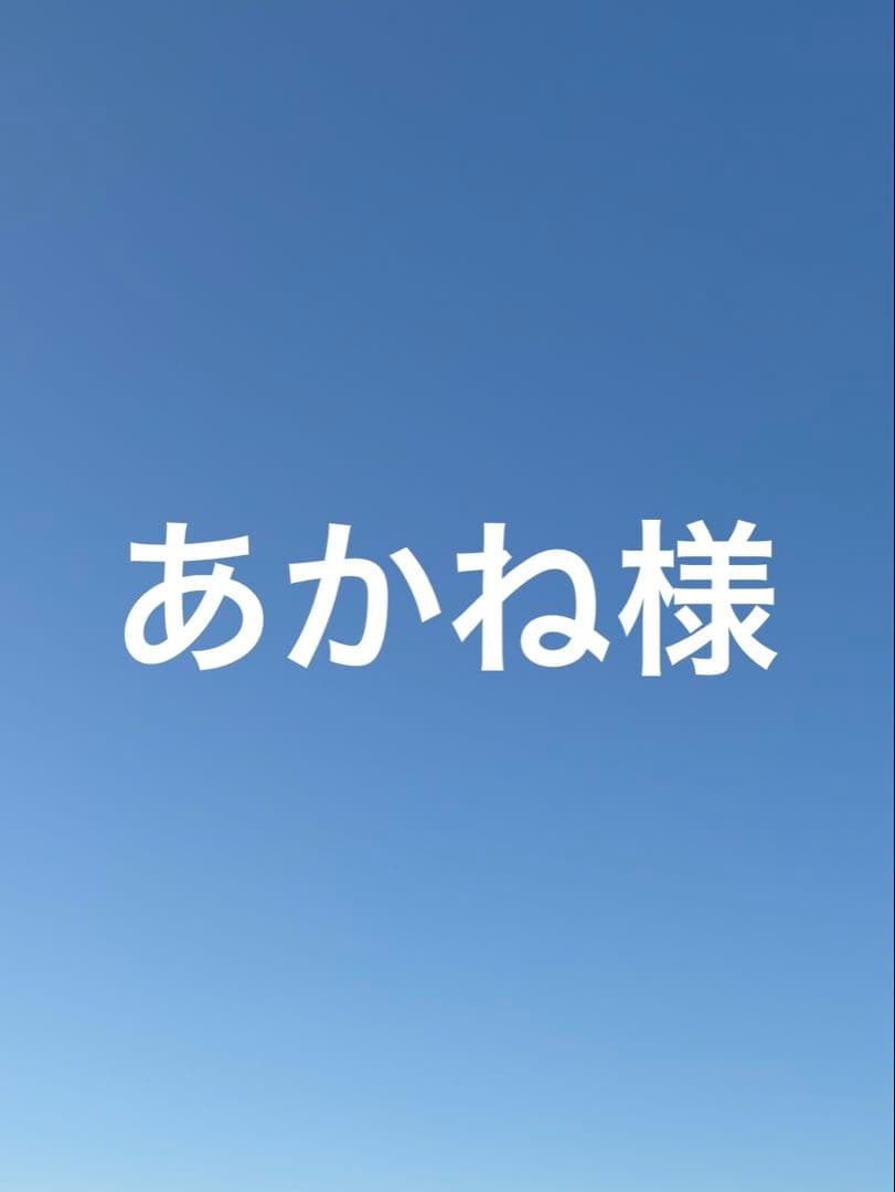 ポケモンぬいぐるみ