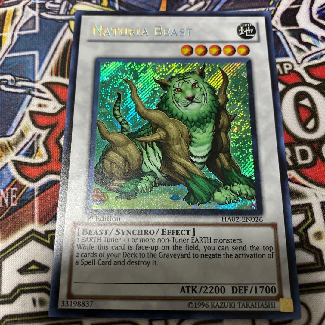 ナチュル・ビースト シークレット 英語 1st - メルカリ