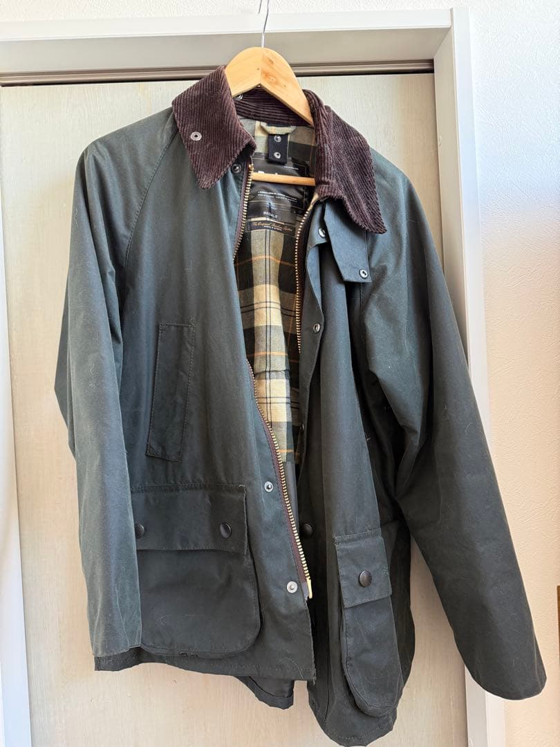 【カエル】バブアー　ビデイル