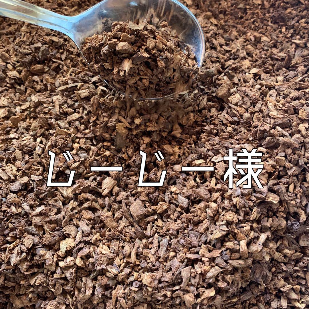 じーじーページ✩︎⡱ カワサキ、Ninja ZX-10R レース専用モデル発売｜2026年型・受注生産で