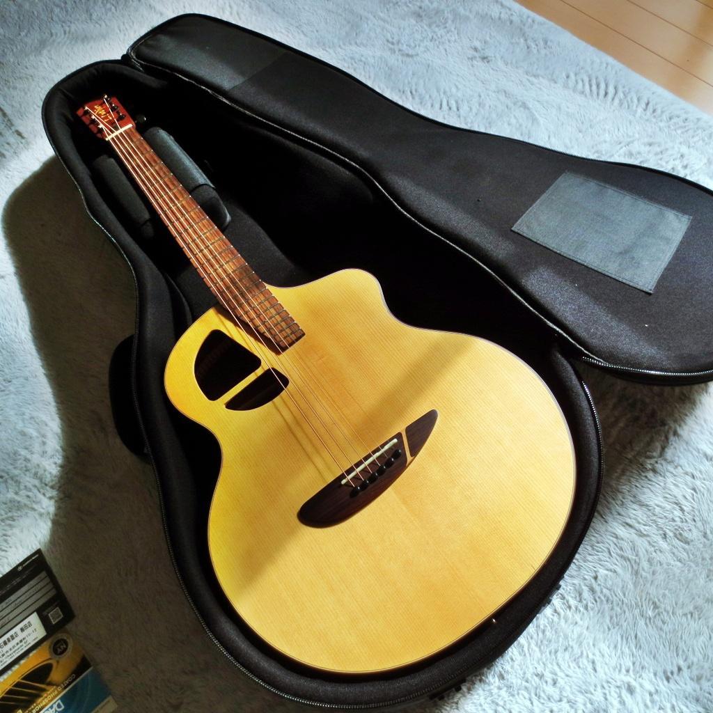 軽量で弾きやすいエレアコのマレーシア発ブランド\