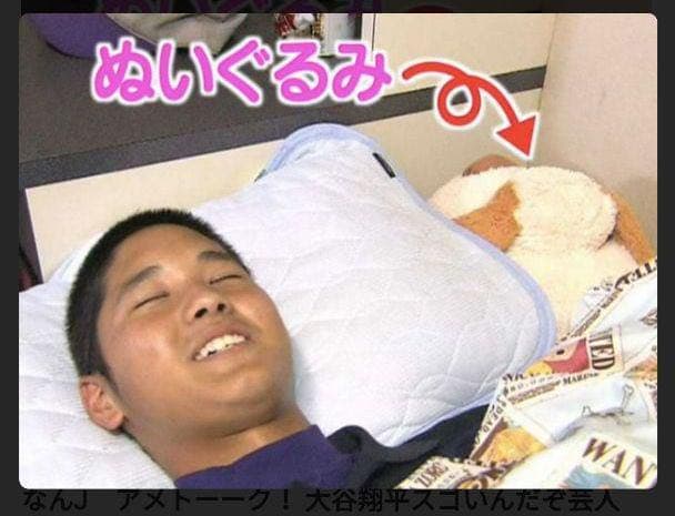 新品未開封】ニトリぶち犬タロー大谷翔平さん愛用【残り2体匹】 - メルカリ