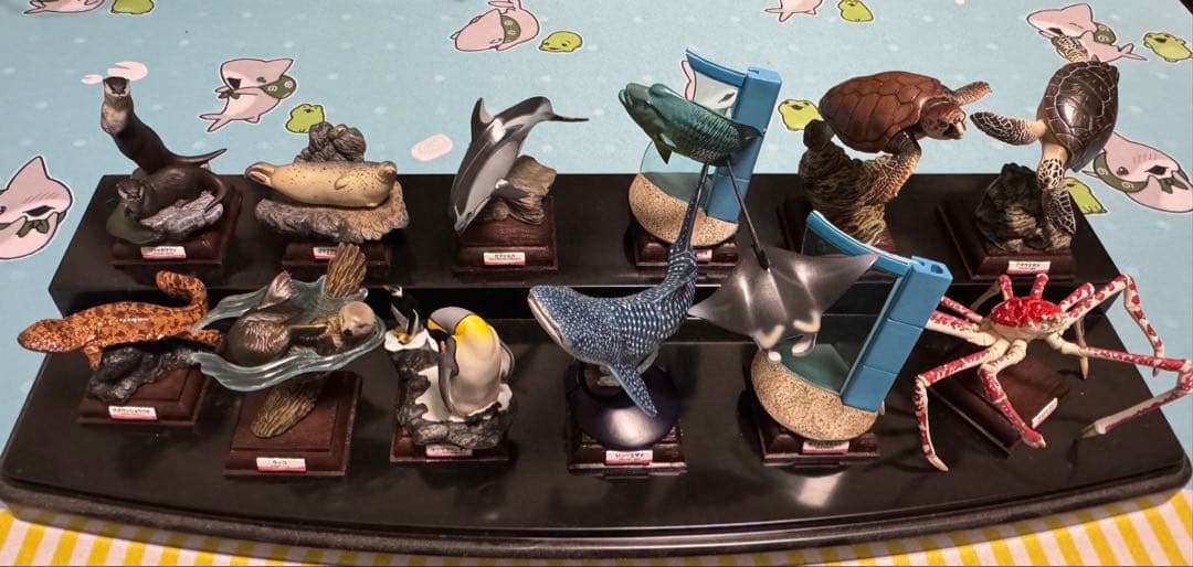 海遊館ミュージアム フルコンプ リーフレット付