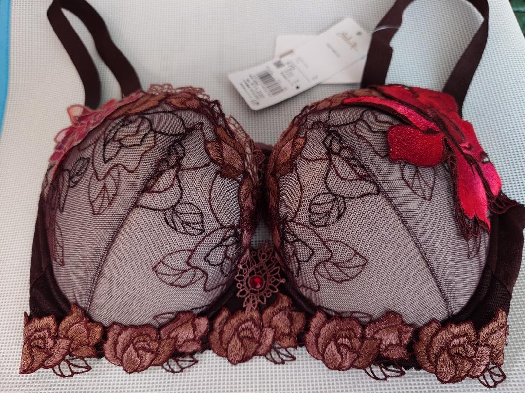 サルート BTJ476 F70