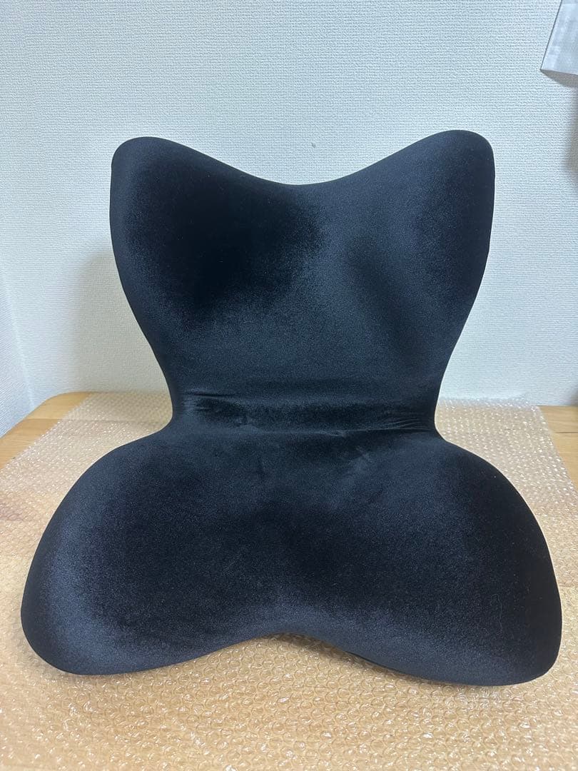 早い者勝ち スタイルプレミアムデラックス 姿勢矯正クッション