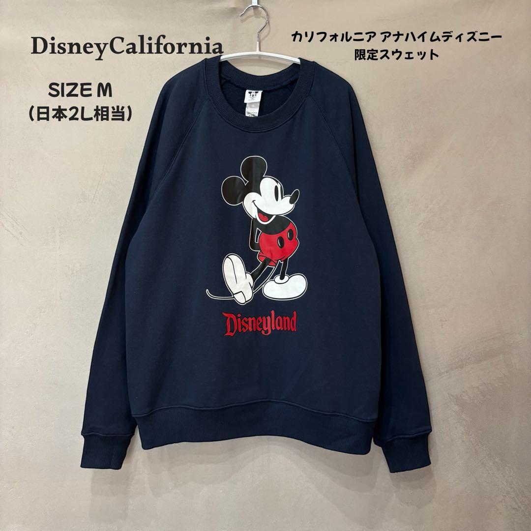カリフォルニア アナハイム ディズニーランド ミッキー スウェット