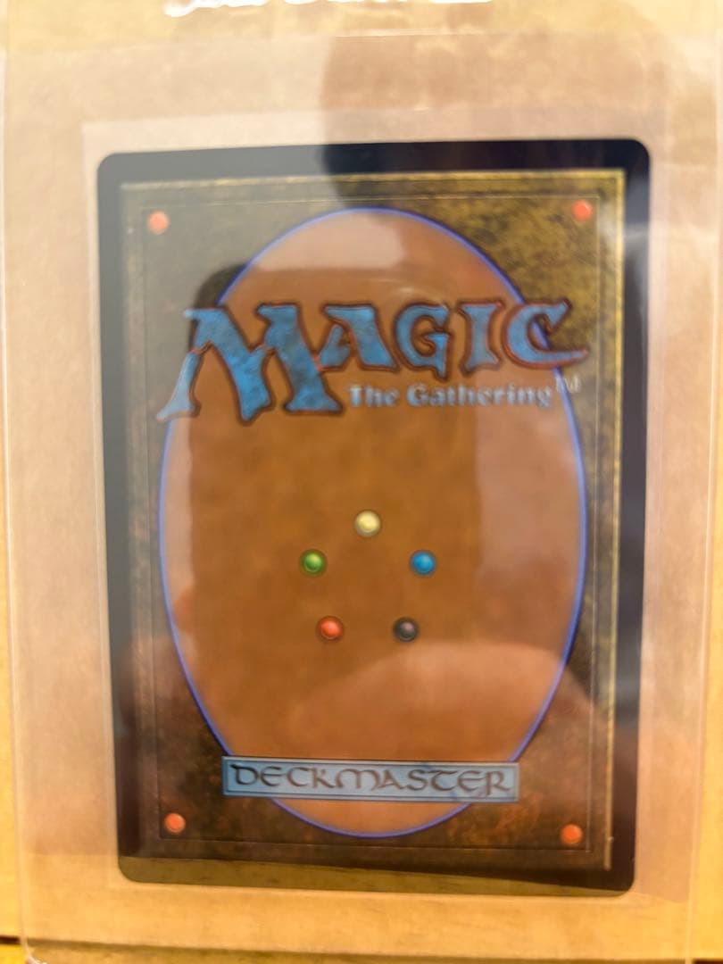 MTG 【Foil】《死者の沼地/The Dead Marshes》 M109295908 - マジック