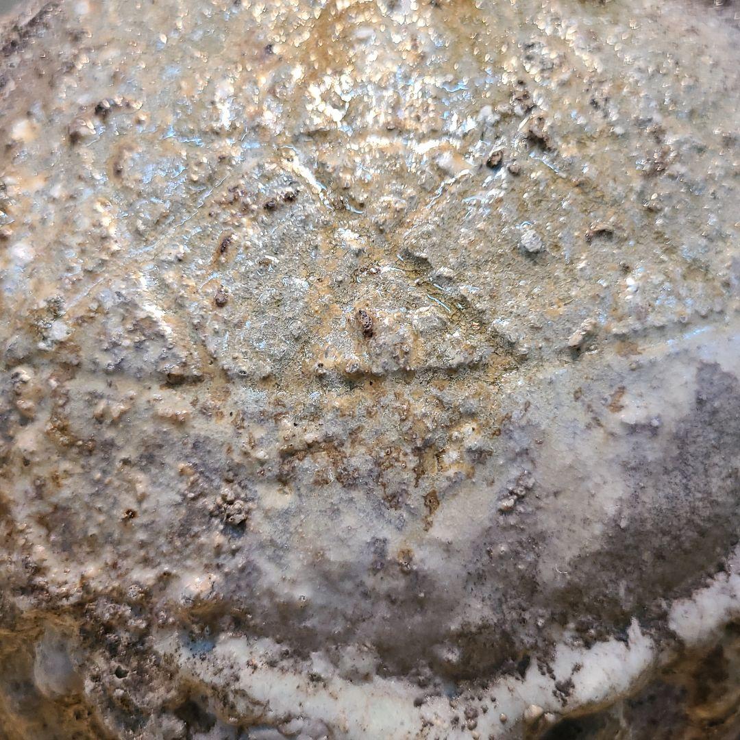 信楽焼 鈴木大弓作 蹲壷 高さ7.5寸（約23cm） 共箱 本物保証 - メルカリ