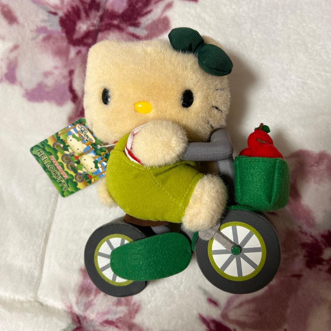 【超激レア】サンリオ 2002年 軽井沢限定 ご当地キティぬいぐるみ タグ付き