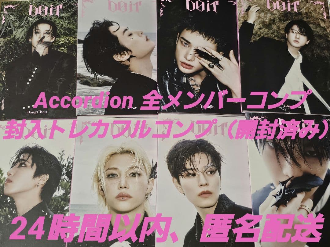 StrayKids DOIT Accordion 封入コンプリートフルセット