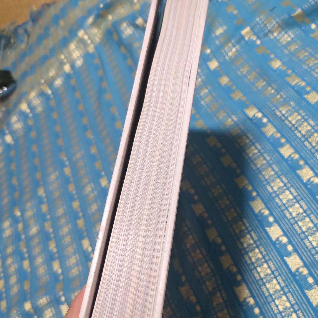 初版1999年 フランス語版 HERMES エルメス 作品集 写真集 良品