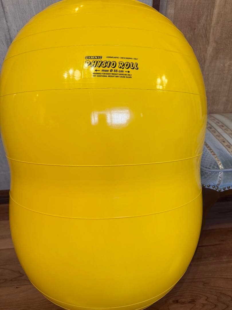 Gymnic ギムニク バランスボール フィジオロール 55cm ピーナッツ