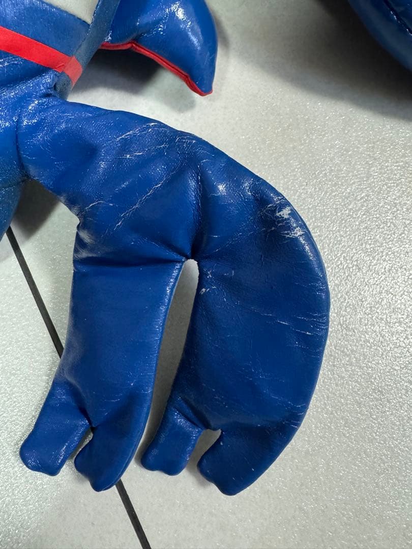 名古屋ポケパーク☆レアなカイオーガぬいぐるみ