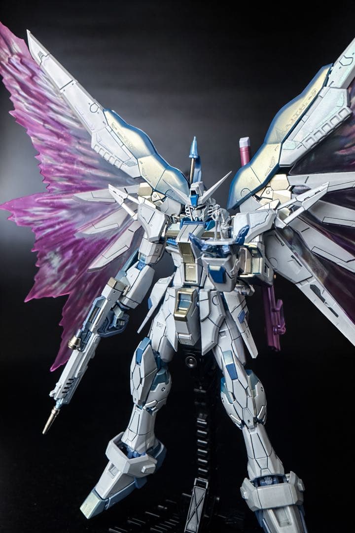 N*y様 RGデスティニーガンダム　チタニウムフィニッシュ トワイライトコーティ