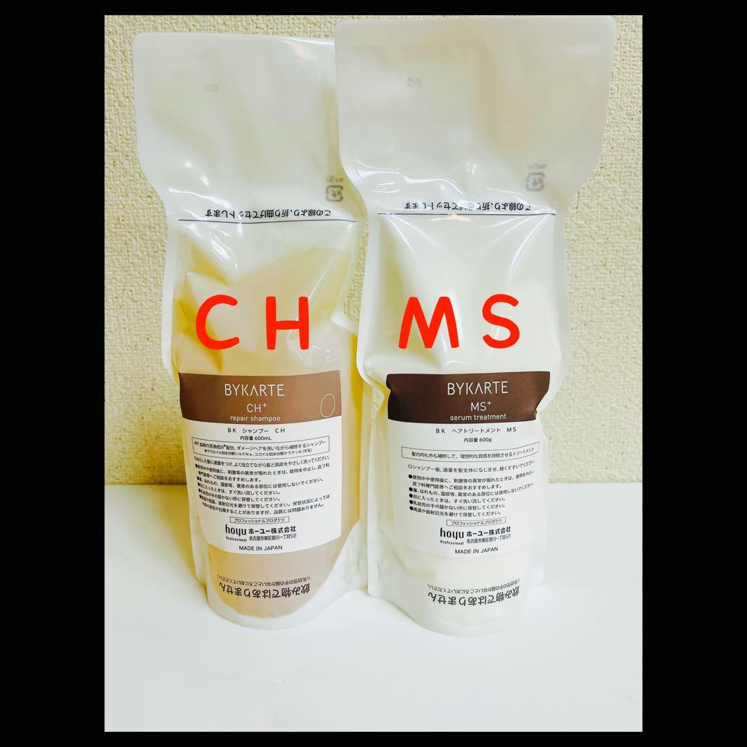 ホーユー バイカルテ CH MS セット 600