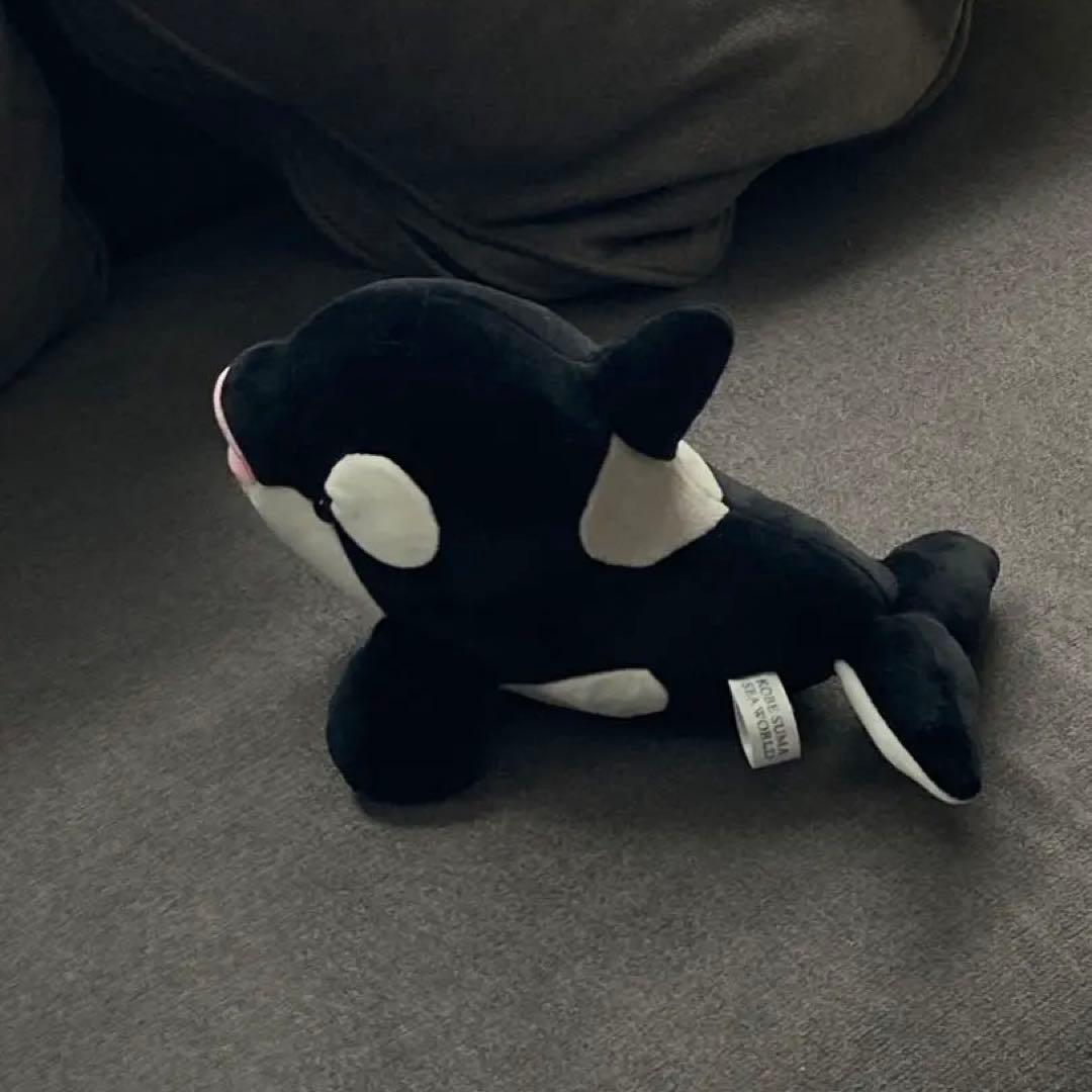 神戸須磨シーワールド オルカくじ シャチくじ 4等 黒色 ぬいぐるみ