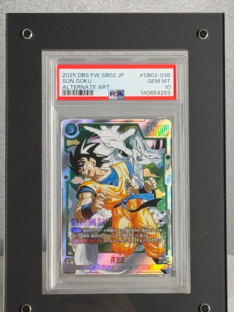 2025 DBS FW SB02 JP ソンゴクウ オルタネートアート