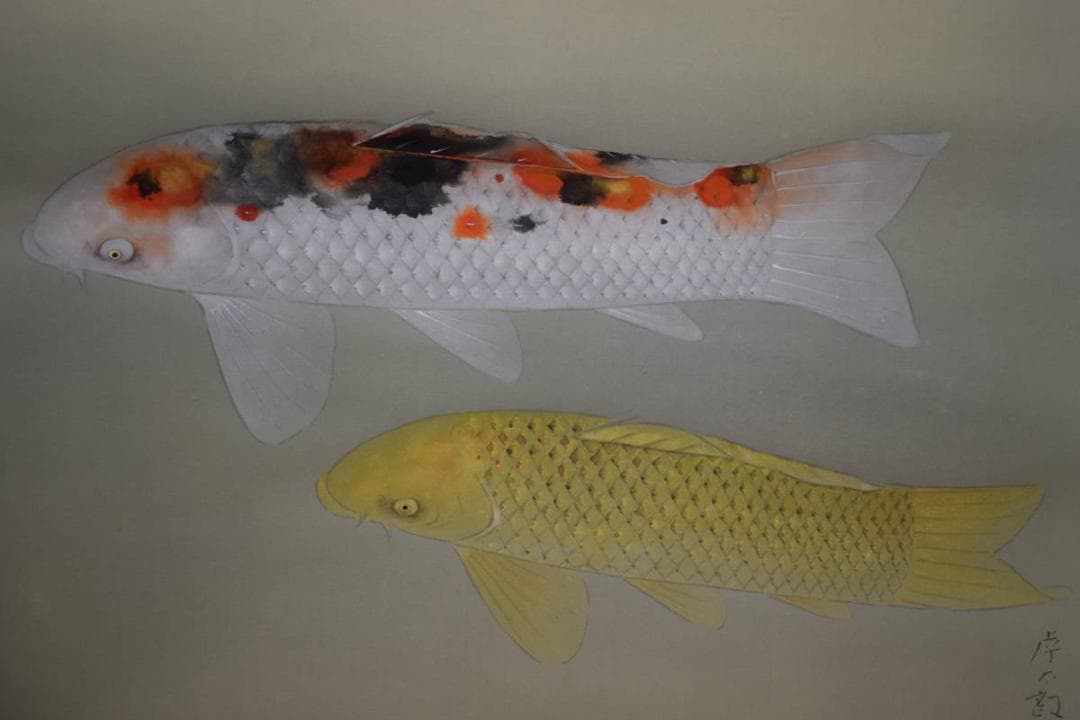 真作/樹下孝太郎/双鯉図/桐共箱太巻箱付/布袋屋掛軸HH-95 真作/福田素仙/三尊佛図/桐共箱付/布袋屋掛軸HE-951/ - メルカリ