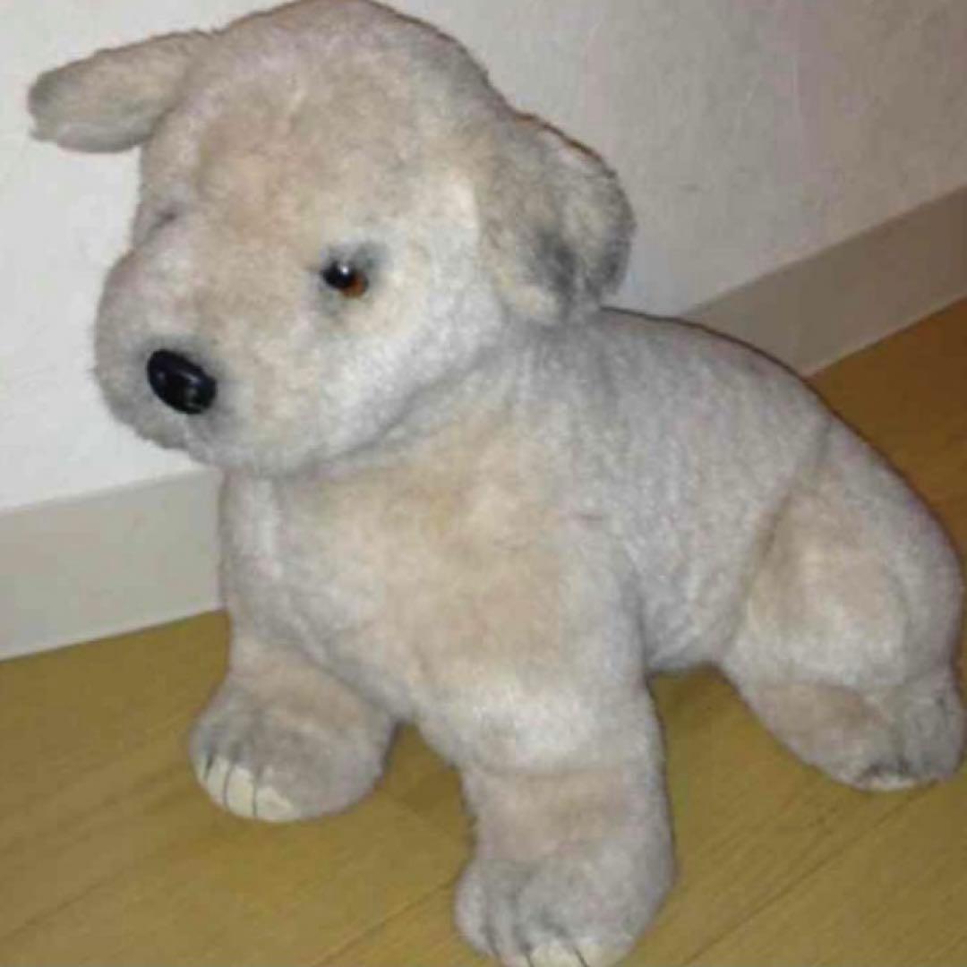 ヴィンテージ Avarti シリアルナンバー4192/6000 コレクター