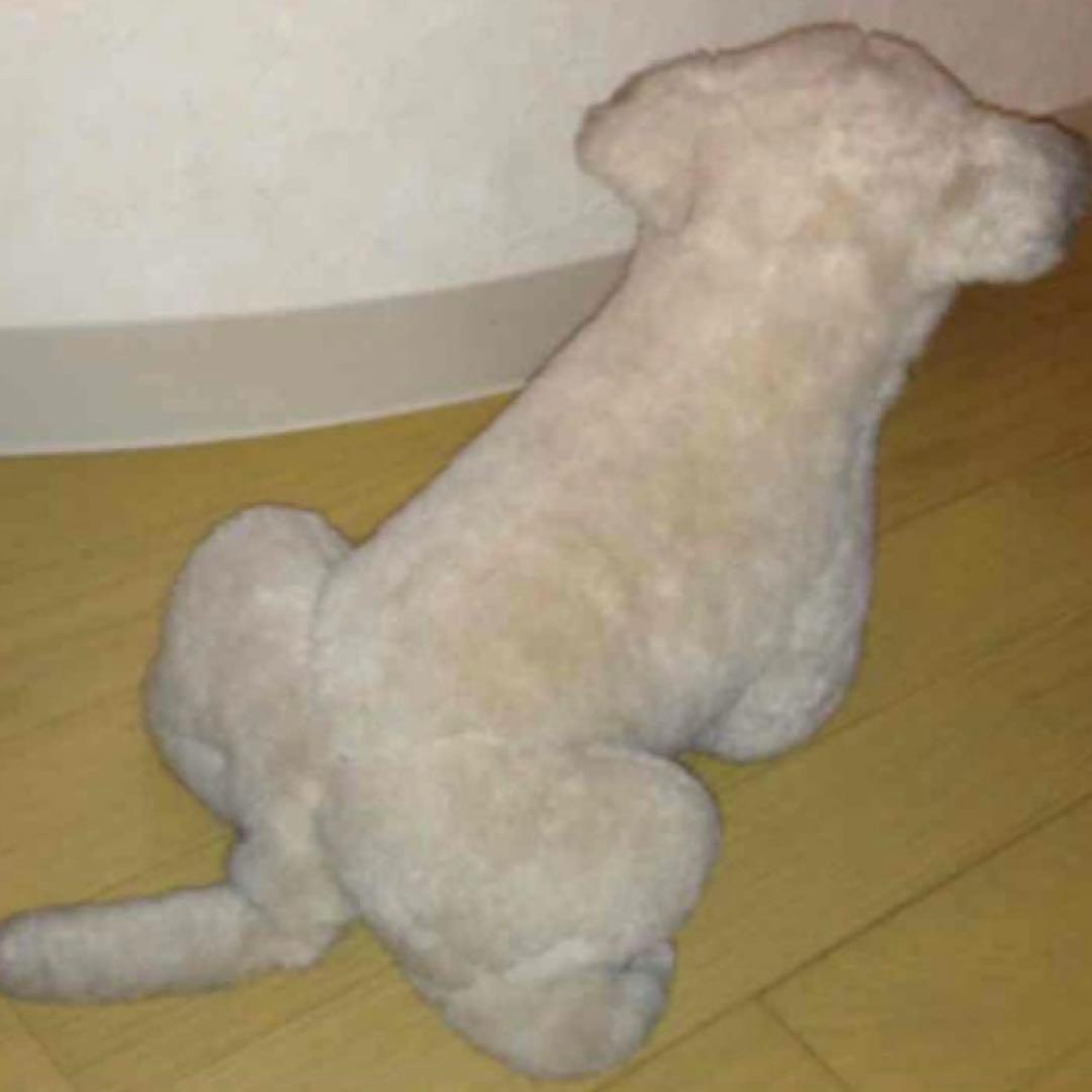 ヴィンテージ Avarti シリアルナンバー4192/6000 コレクター