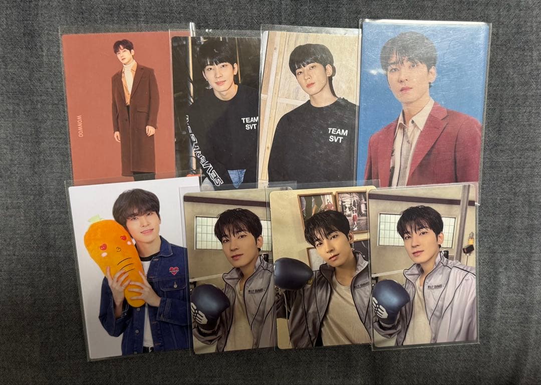 SEVENTEEN ウォヌ トレカ まとめ売り 10枚 - メルカリ