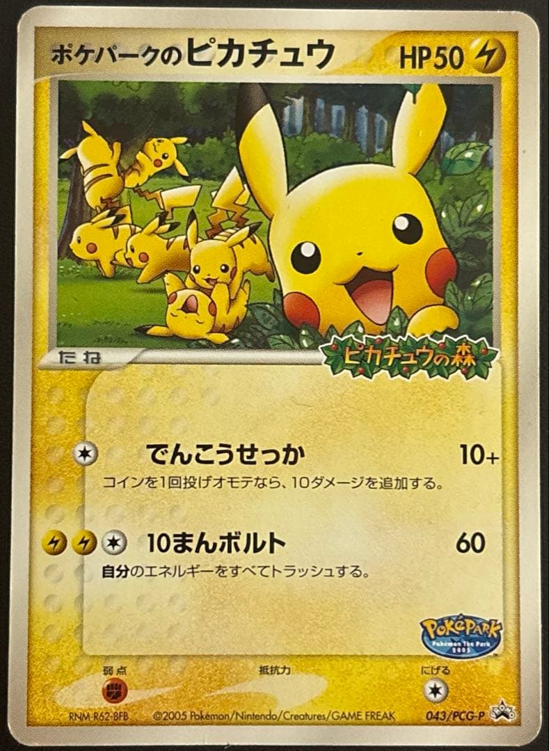ポケパークのピカチュウ　プロモ