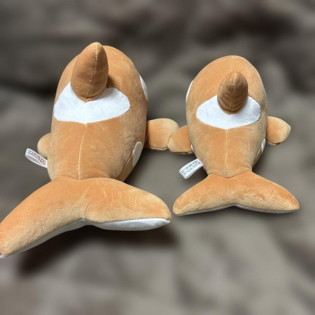 神戸須磨シーワールド シャチぬいぐるみ オルカくじ 3等 4等 限定