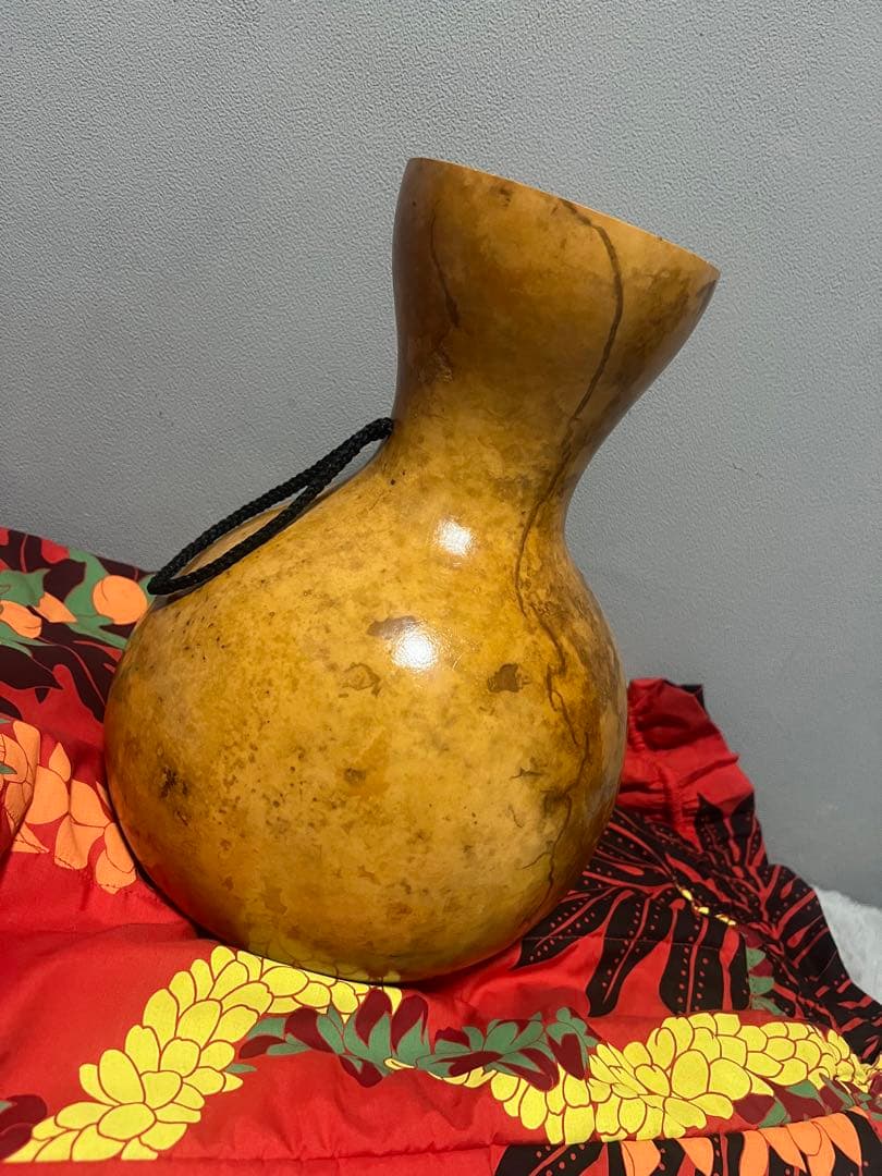 フラ楽器　イプ　ケース付き