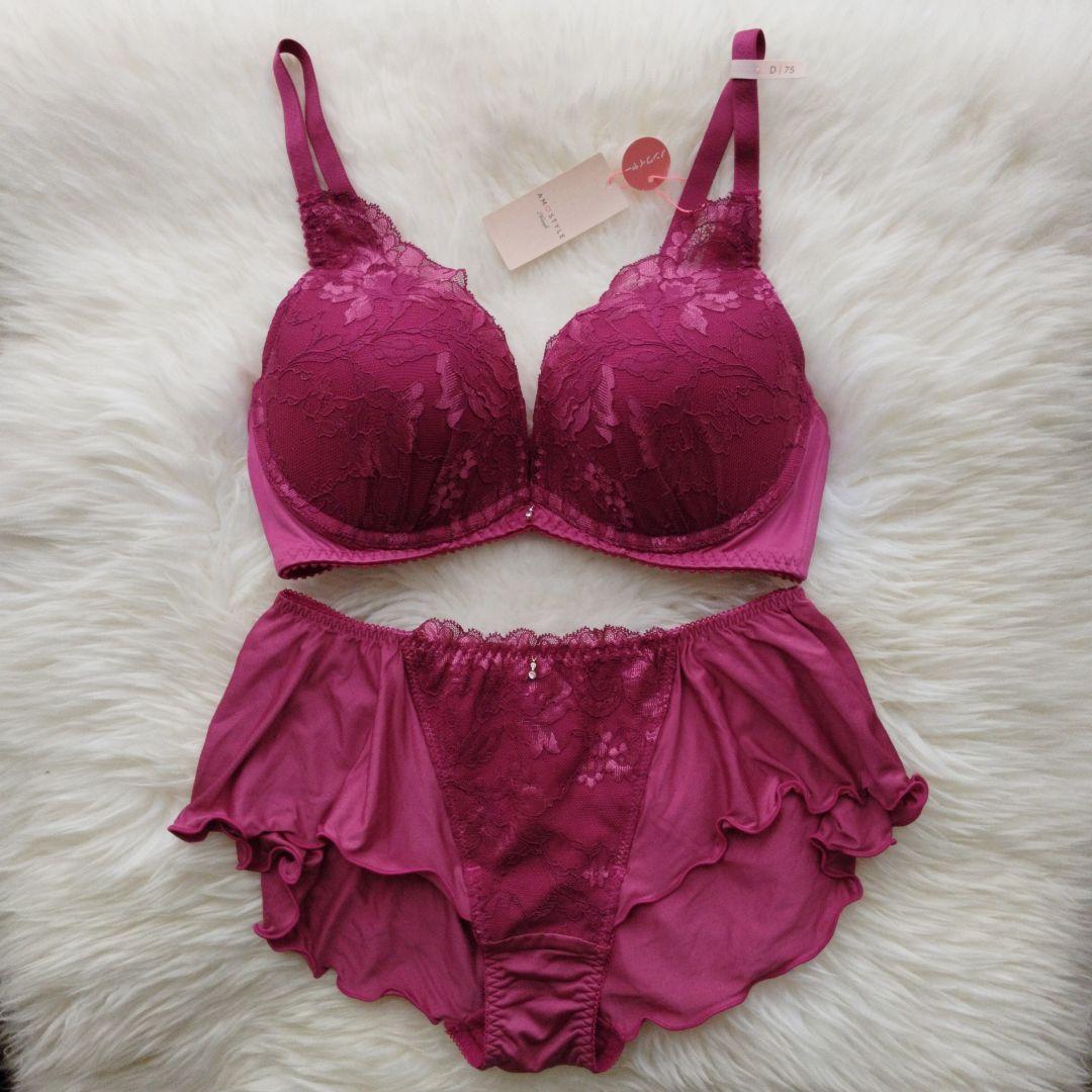 トリンプ アモスタイル　セット　D75 M 1493　020 定価6490円