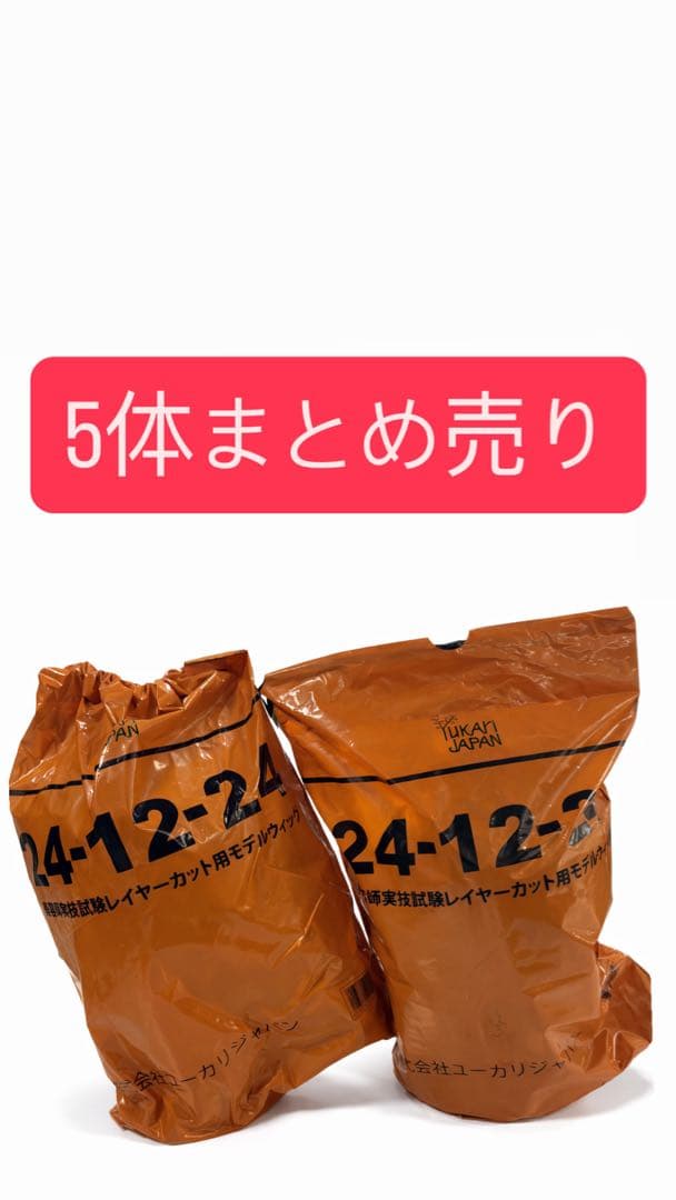 美容師国家試験 カットウィッグ5体　【新品】
