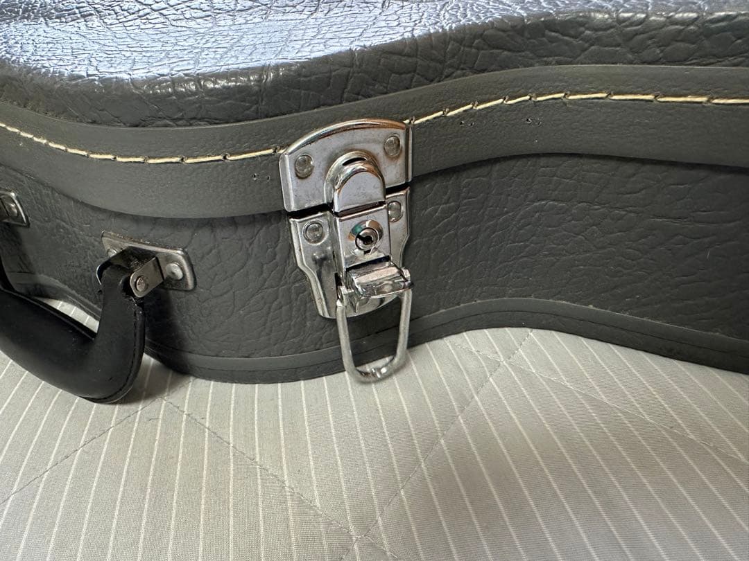 ひーくん様専用】中古 Ibanez AS-103-VB 12-02ハードケース - メルカリ