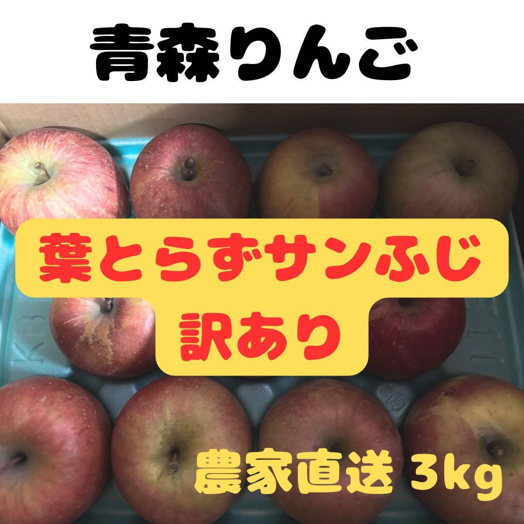 青森県産りんご 葉とらずサンふじ 訳あり3kg - メルカリ