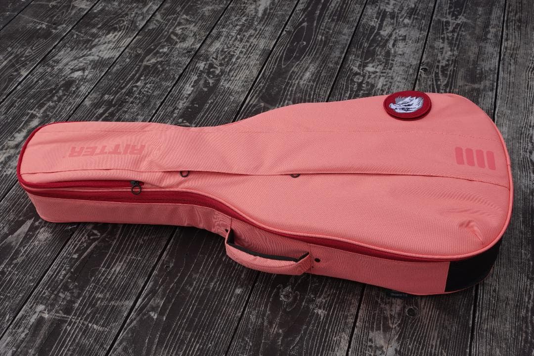 Baby Taylor Mahogany (BT2)とRITTERのギグバッグ - メルカリ