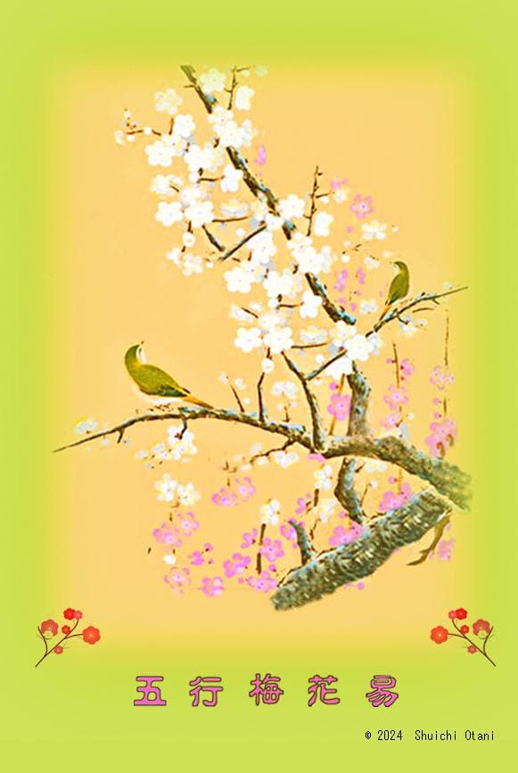 【chau0504】梅花心易入門と五行梅花易カードセット