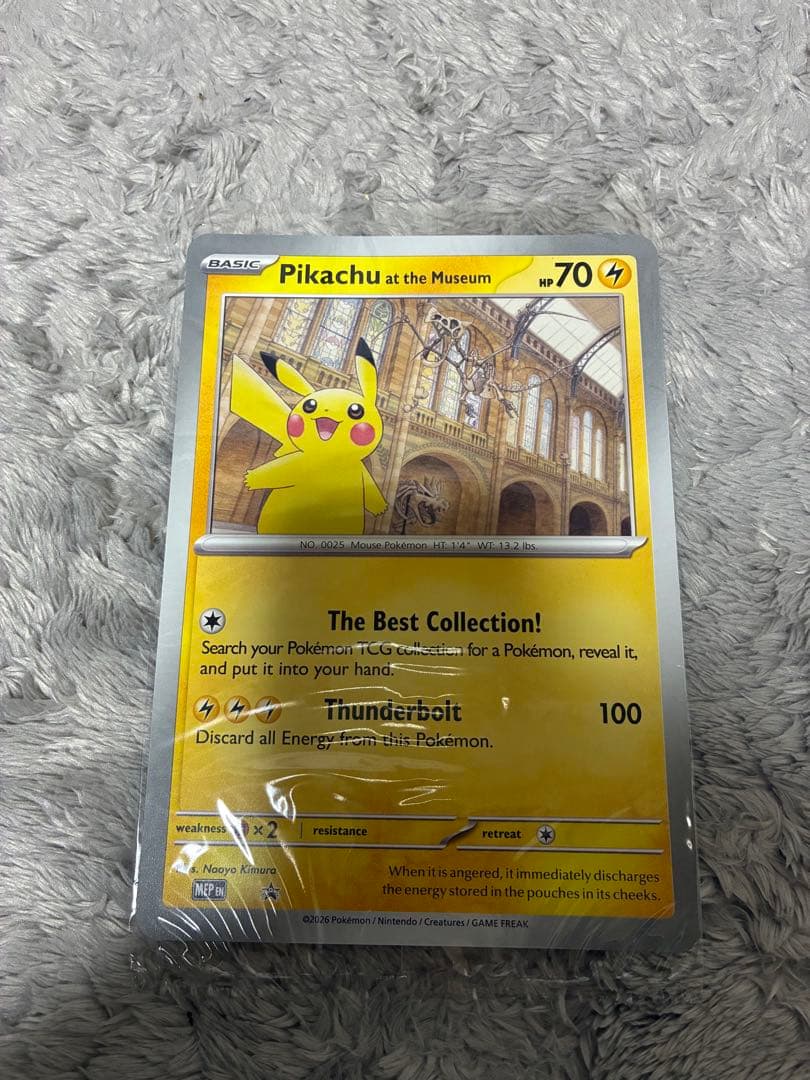 Pikachu at the Museum ピカチュウ ロンドン自然史博物館