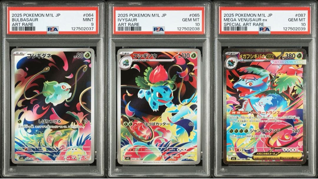 【PSA】進化ライン　3連番