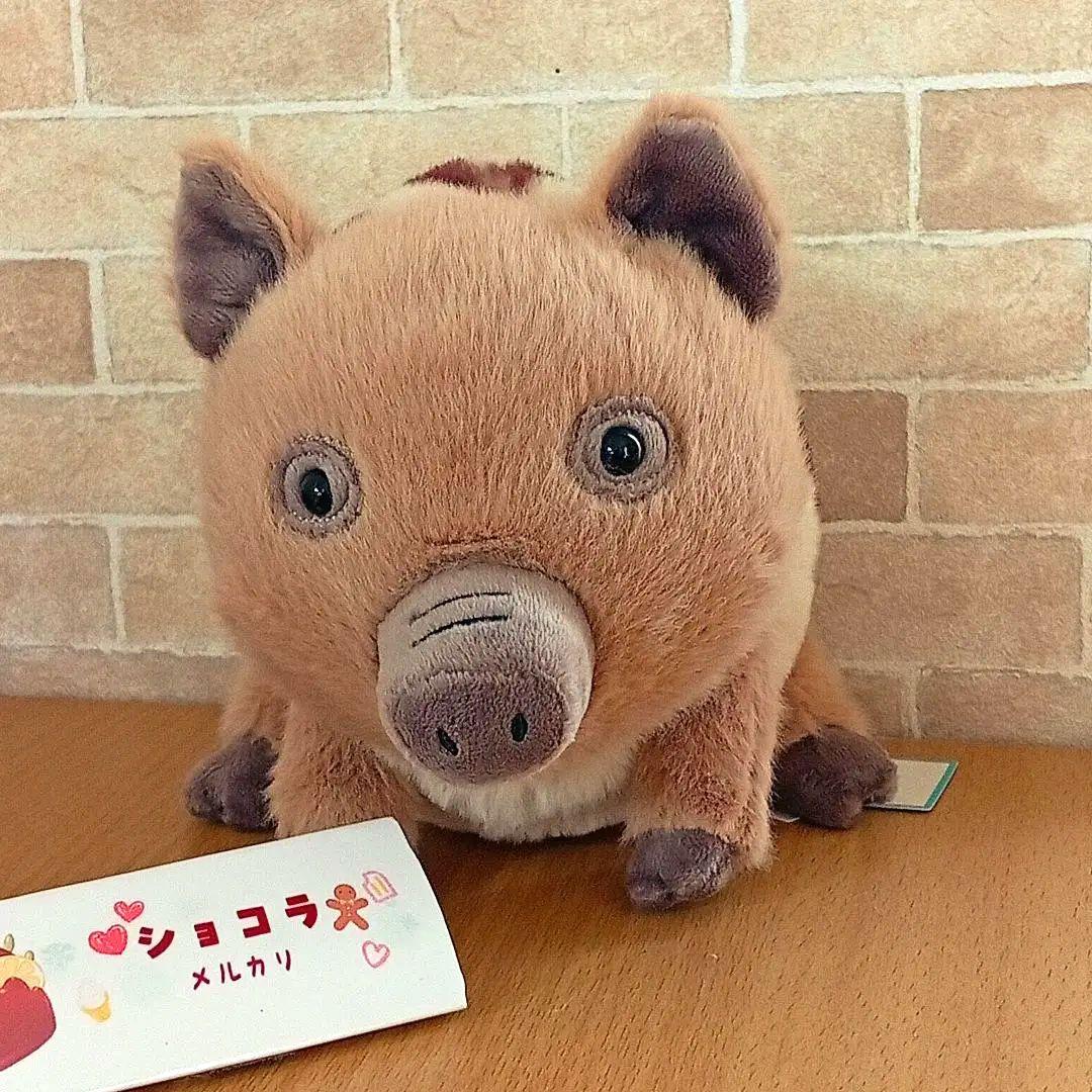  swinley boar ジェリーキャット イノシシ　猪 動物