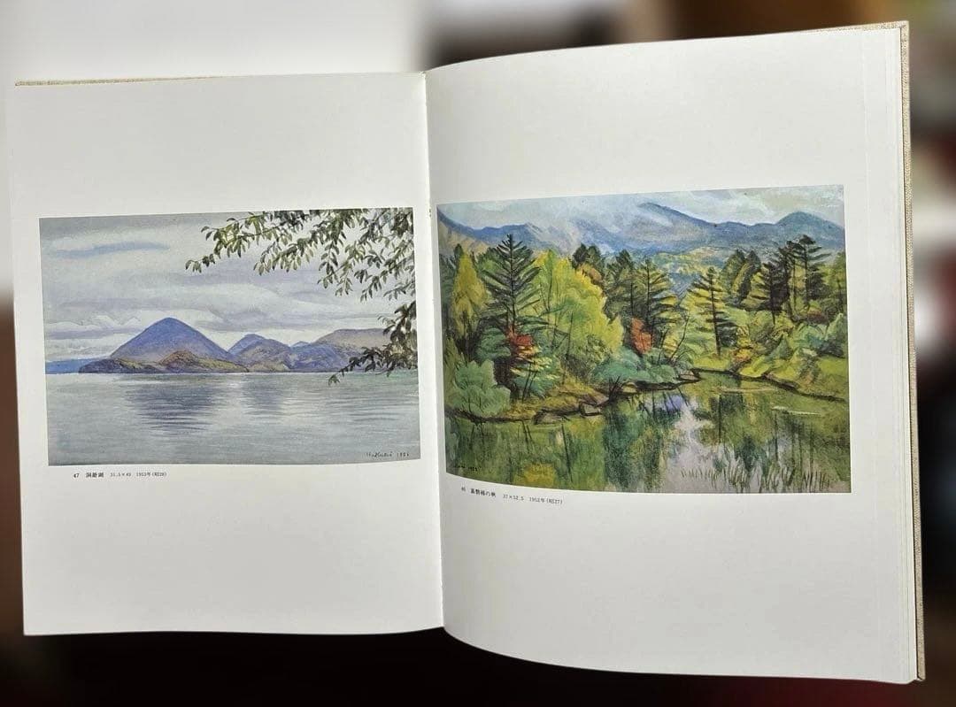 石井柏亭画集 限定3000部のうち544番 河北倫明監修 信濃毎日新聞