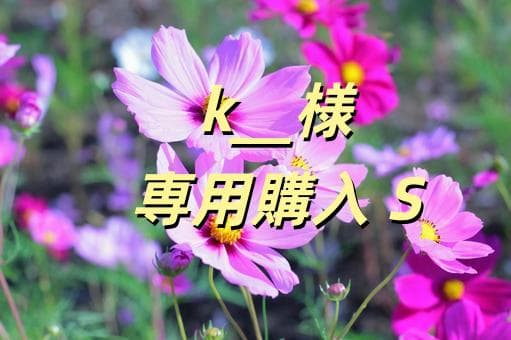 k__購入 S