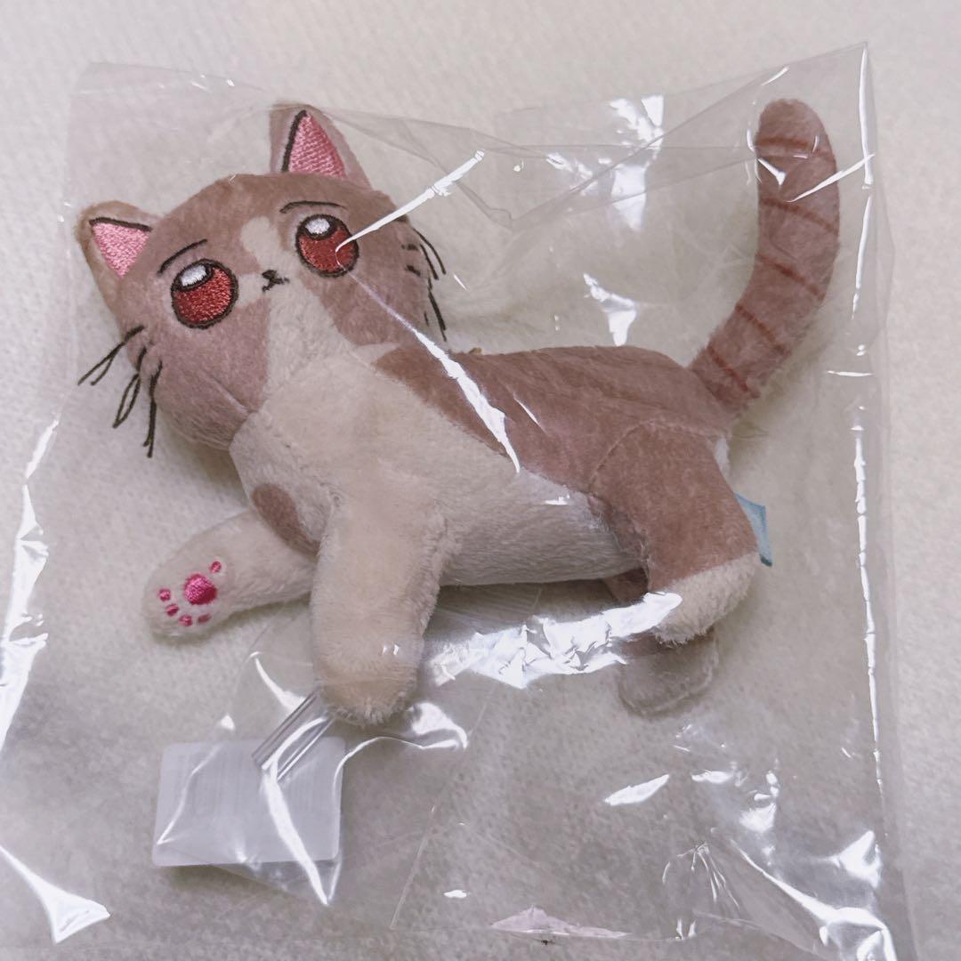 ずっと真夜中でいいのに ゾンクラ しょうがストリングス しょがスト